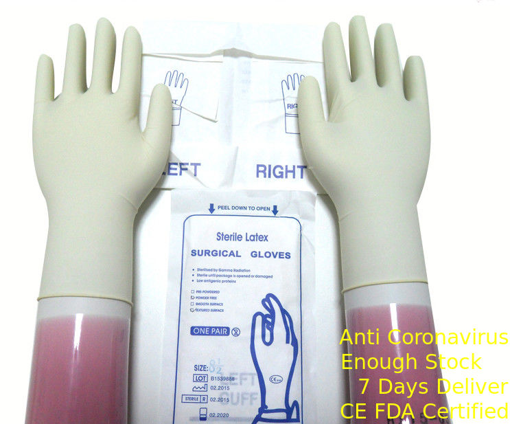 Sterylne lateksowe rękawiczki chirurgiczne o naturalnym kolorze białym, jednorazowe z podwiniętym brzegiem dostawca
